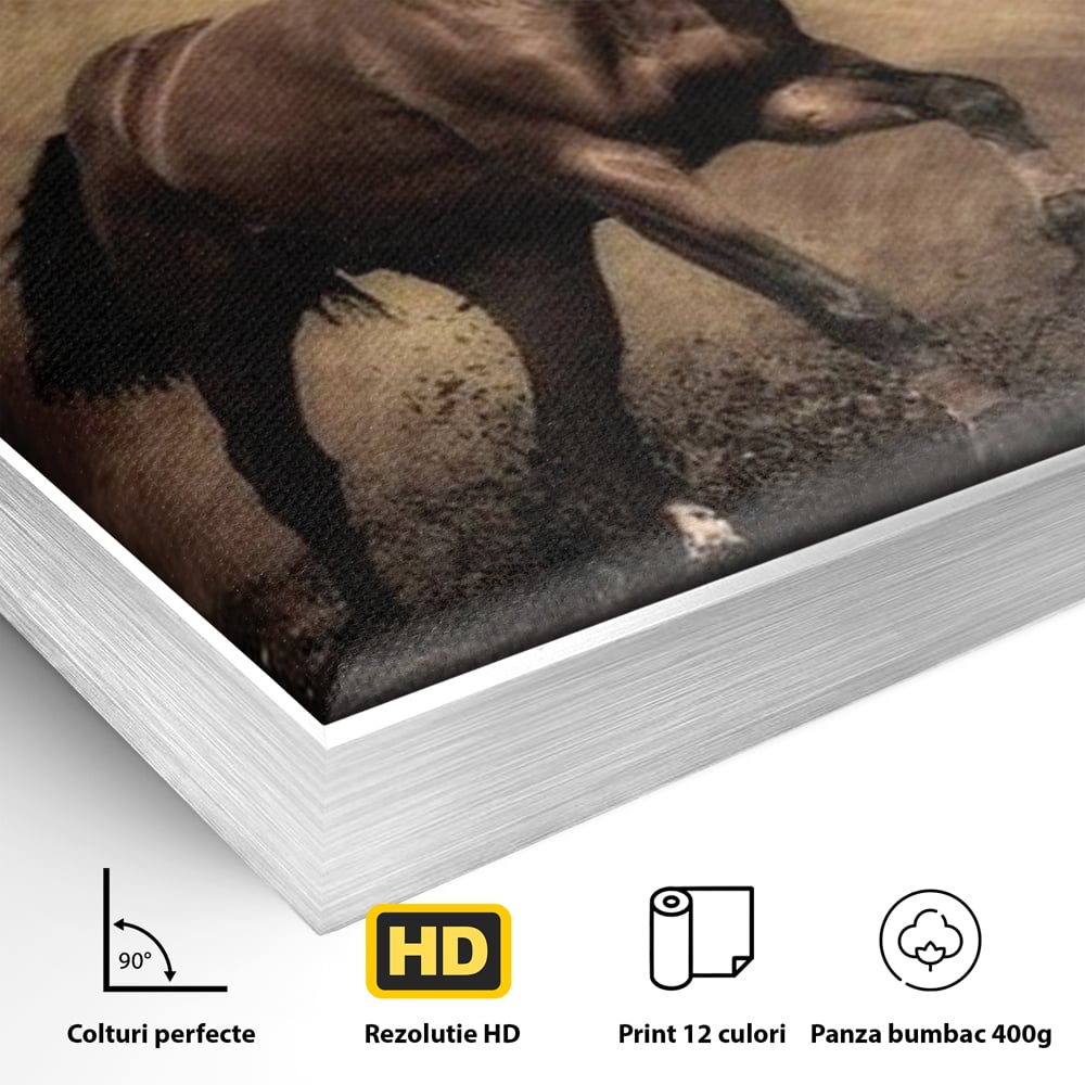 Detaliu al suprafetei: tablou canvas cu cal maro in galop, in rama de aluminiu argintiu